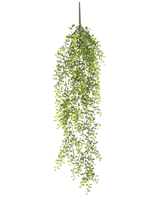 La Planta colgante artificial Buxus 80 cm es una planta colgante artificial con largos y sinuosos zarcillos verdes y pequeñas hojas redondas sobre un fondo blanco.