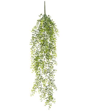 La Planta colgante artificial Buxus 80 cm es una planta colgante artificial con largos y sinuosos zarcillos verdes y pequeñas hojas redondas sobre un fondo blanco.