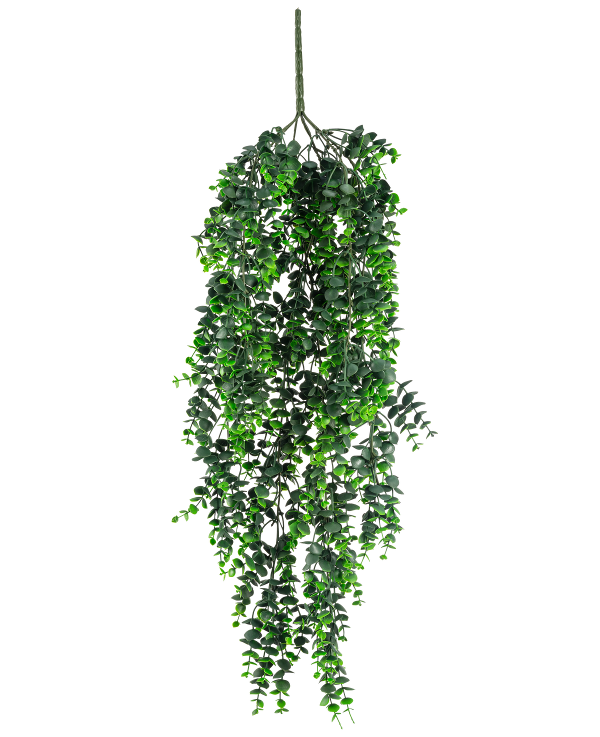 La planta colgante artificial Eucalipto UV 80 cm tiene densas hojas verdes en cascada y un tallo visible en la parte superior, sobre un fondo blanco liso.
