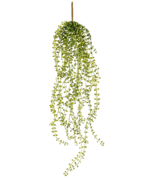 La Planta colgante artificial Jasmin 63 cm es una planta colgante artificial con tallos largos y colgantes de hojas pequeñas y redondas de color verde, que cuelgan de un único tallo marrón sobre un fondo blanco.