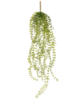 La Planta colgante artificial Jasmin 63 cm es una planta colgante artificial con tallos largos y colgantes de hojas pequeñas y redondas de color verde, que cuelgan de un único tallo marrón sobre un fondo blanco.