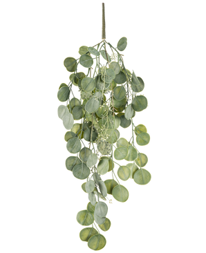 La planta colgante artificial Eucalipto de 73 cm tiene hojas verdes redondas en varios tallos que cuelgan elegantemente sobre un fondo blanco.