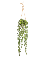 La planta colgante Senecio Artificial en maceta de 55 cm tiene largos tallos colgantes de color verde con hojas redondas, colgadas en una maceta blanca sobre una cuerda color canela, perfecta para añadir vegetación a cualquier espacio.