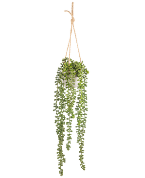 La planta colgante Senecio Artificial en maceta de 55 cm tiene largos tallos colgantes de color verde con hojas redondas, colgadas en una maceta blanca sobre una cuerda color canela, perfecta para añadir vegetación a cualquier espacio.