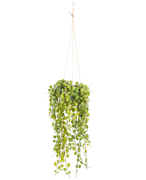 La Planta Artificial Colgante Planta Suculenta de 53 cm en maceta tiene hojas verdes redondas que emergen de una maceta colgante, sujetas por finos cordones marrones sobre un fondo blanco liso.