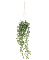 La planta colgante artificial Scindapsus en maceta de 73 cm tiene hojas verdes exuberantes y largos zarcillos, suspendidos de una cuerda fina sobre un fondo blanco liso.