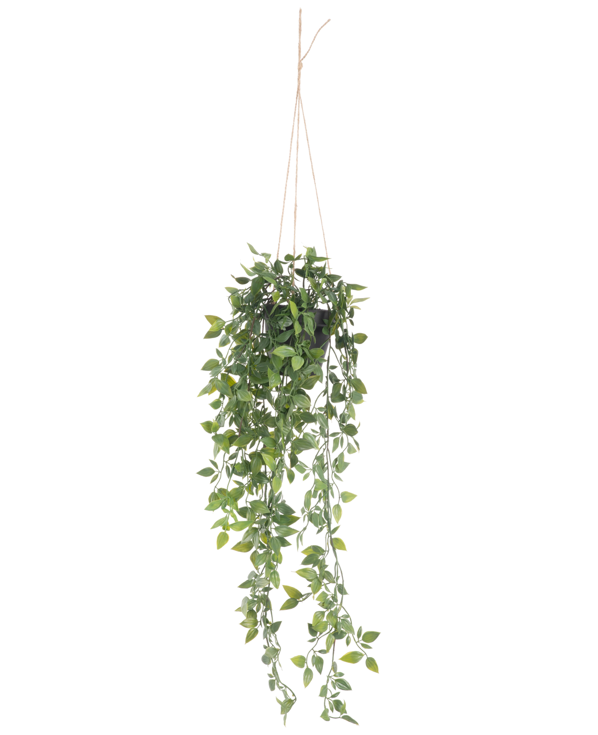 La planta colgante artificial Scindapsus en maceta de 73 cm tiene hojas verdes exuberantes y largos zarcillos, suspendidos de una cuerda fina sobre un fondo blanco liso.