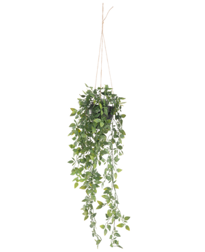 La planta colgante artificial Scindapsus en maceta de 73 cm tiene hojas verdes exuberantes y largos zarcillos, suspendidos de una cuerda fina sobre un fondo blanco liso.