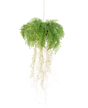 La planta colgante artificial Helecho con raíces d35 cm con sistema de suspensión tiene raíces largas y delgadas y cuelga sin mantenimiento de una cuerda sobre un fondo blanco.