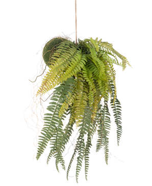 La planta colgante artificial Helecho sobre bola de 63 cm tiene hojas verdes exuberantes y delicadas. Colgada de una cuerda delgada sobre un fondo blanco, es la planta colgante perfecta y sin mantenimiento para cualquier habitación.