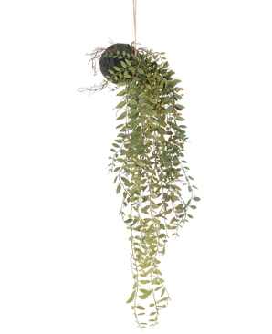 La planta artificial colgante Pumila bola de 30 cm tiene largos y sinuosos zarcillos verdes con pequeñas hojas que emergen de una bola cubierta de musgo, suspendida con una cuerda sobre un fondo blanco.