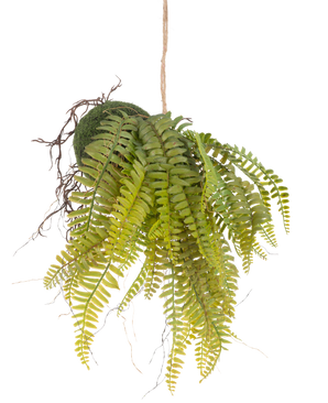 La planta colgante artificial Helecho sobre bola de 26 cm tiene hojas verdes realistas en una bola cubierta de musgo, suspendidas de una cuerda: una pieza decorativa ideal para cualquier interior sobre un fondo blanco.