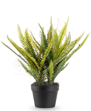 La planta artificial Helecho de Boston de 53 cm tiene hojas verdes largas y delgadas en una maceta negra, sobre un fondo blanco liso.