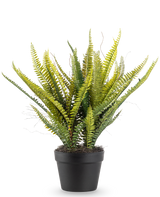 La planta artificial Helecho de Boston de 53 cm tiene hojas verdes largas y delgadas en una maceta negra, sobre un fondo blanco liso.