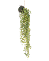La planta suculenta artificial colgante sobre bola de 78 cm tiene hojas redondas verdes que emergen de una pequeña maceta esférica cubierta de musgo, perfecta como acento decorativo sobre un fondo blanco liso.