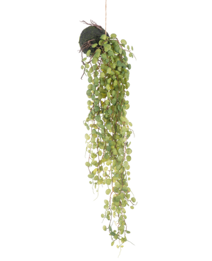 La planta suculenta artificial colgante sobre bola de 78 cm tiene hojas redondas verdes que emergen de una pequeña maceta esférica cubierta de musgo, perfecta como acento decorativo sobre un fondo blanco liso.