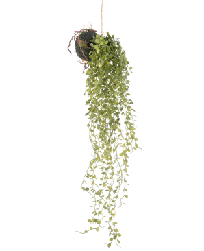 La Planta Colgante Artificial Bola de Planta Suculenta de 58 cm tiene una planta suculenta de color verde con pequeñas hojas redondas, que cuelga de una bola de tierra cubierta de musgo, sobre un fondo blanco liso.