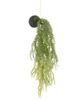 La planta artificial colgante Phlegmariurus ball de 50 cm tiene hojas de helecho verdes sobre una base redonda cubierta de musgo, suspendidas de una cuerda sobre un fondo blanco.