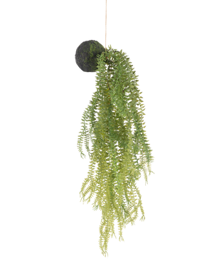 La planta artificial colgante Phlegmariurus ball de 50 cm tiene hojas de helecho verdes sobre una base redonda cubierta de musgo, suspendidas de una cuerda sobre un fondo blanco.