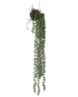 La planta colgante artificial Senecio bola 58 cm tiene largos y sinuosos zarcillos verdes con pequeñas hojas redondas que cuelgan de una bola de musgo, sobre un fondo blanco.