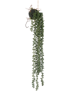 La planta colgante artificial Senecio bola 58 cm tiene largos y sinuosos zarcillos verdes con pequeñas hojas redondas que cuelgan de una bola de musgo, sobre un fondo blanco.