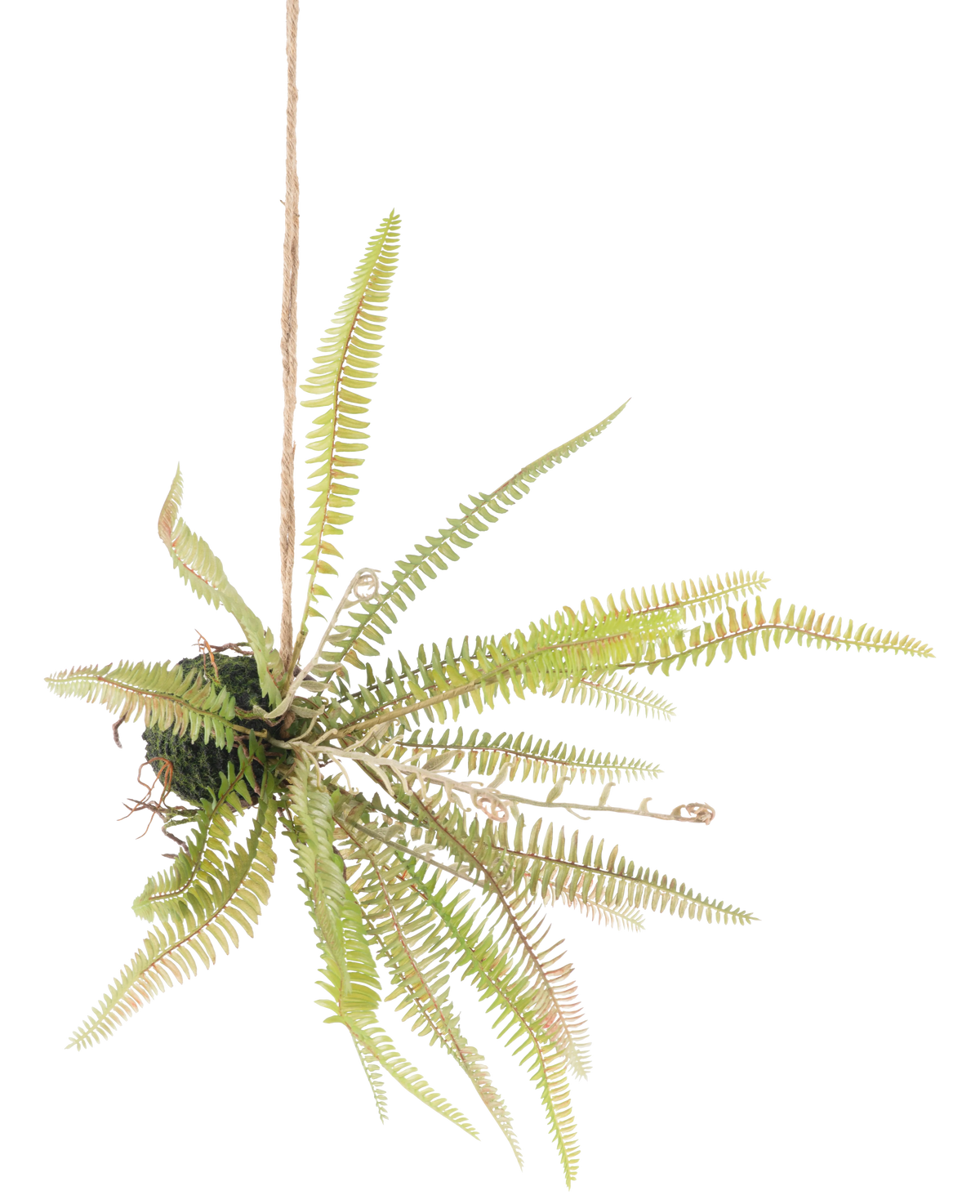 La bola de helecho artificial colgante de 45 cm tiene hojas verdes largas y delgadas que sobresalen y se cuelga con una cuerda sobre un fondo blanco liso.