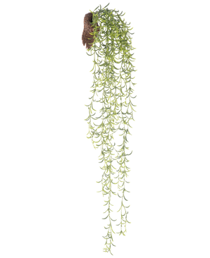 La planta colgante artificial Senecio 86 cm tiene tallos suculentos largos y verdes con hojas pequeñas y estrechas que emergen de un cepellón marrón, sobre un fondo blanco.