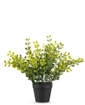 La Planta de Hojas de Té Artificial 25 cm es una pequeña planta de follaje verde con hojas amarillas en una sencilla maceta negra, sobre un fondo liso blanco.
