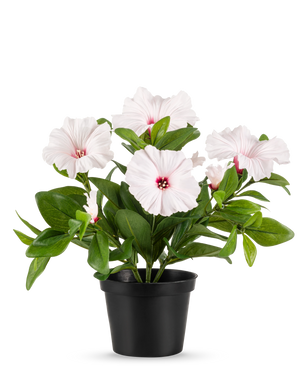 La planta Petunia Flor Artificial 25 cm rosa se coloca en una maceta negra, con varias flores de cinco pétalos de color rosa claro con un corazón rosa oscuro y estambres amarillos, sobre un fondo liso blanco.
