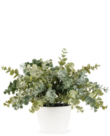 La planta de Eucalipto Artificial de 23 cm tiene exuberantes hojas verdes redondas y se presenta en una sencilla maceta blanca, perfecta para iluminar cualquier espacio con su aspecto natural sobre un fondo liso.