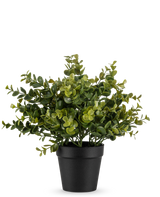 La planta artificial Pumila de 25 cm es una pequeña planta artificial en maceta con exuberantes hojas verdes en una sencilla maceta negra, representada sobre un fondo blanco liso.