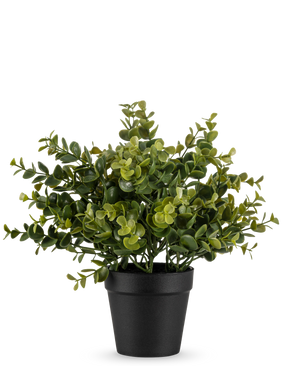 La planta artificial Pumila de 25 cm es una pequeña planta artificial en maceta con exuberantes hojas verdes en una sencilla maceta negra, representada sobre un fondo blanco liso.