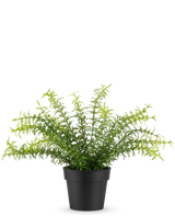 La Planta Artificial Anthurium de 27 cm tiene hojas verdes largas y delgadas que se extienden desde una maceta de plástico negra, sobre un fondo blanco liso.