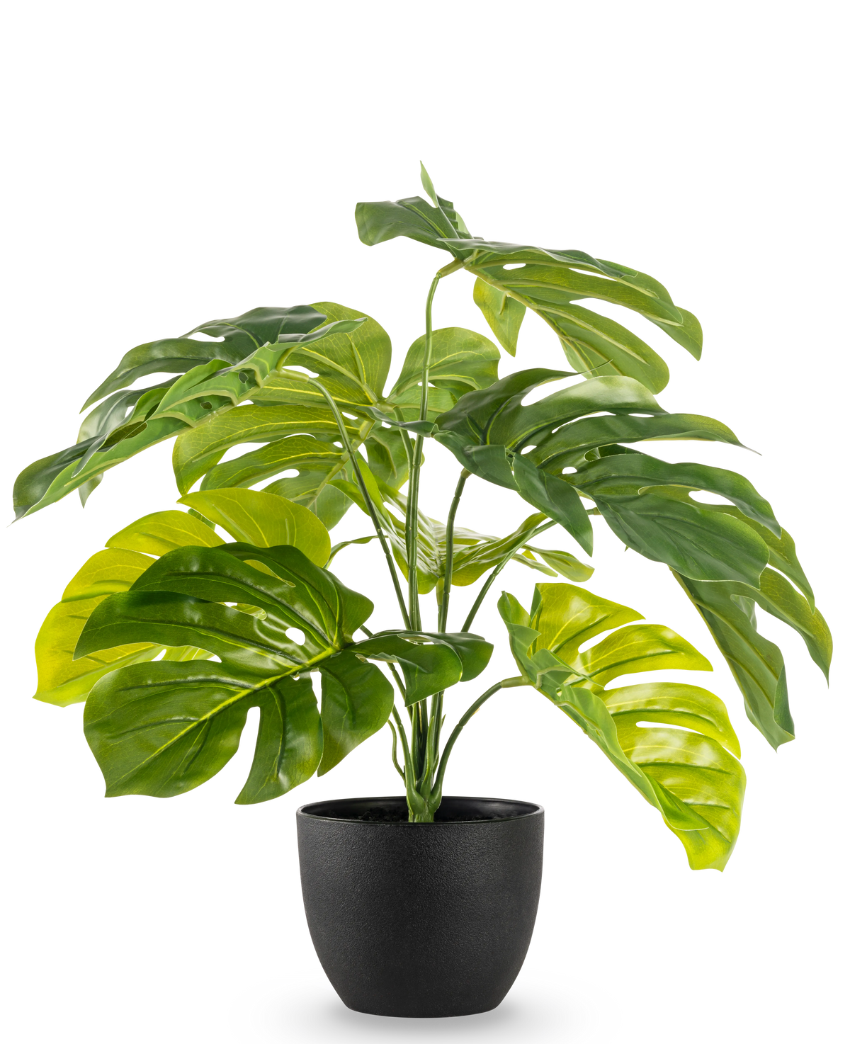 La Monstera artificial de 55 cm en maceta decorativa negra tiene hojas verdes grandes, brillantes y divididas en una maceta decorativa negra, sobre un fondo blanco liso.