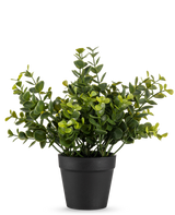 La Planta Artificial Pumila 20 cm es una pequeña planta artificial en maceta con hojas verdes redondas en una sencilla maceta negra, expuesta sobre un fondo blanco liso.