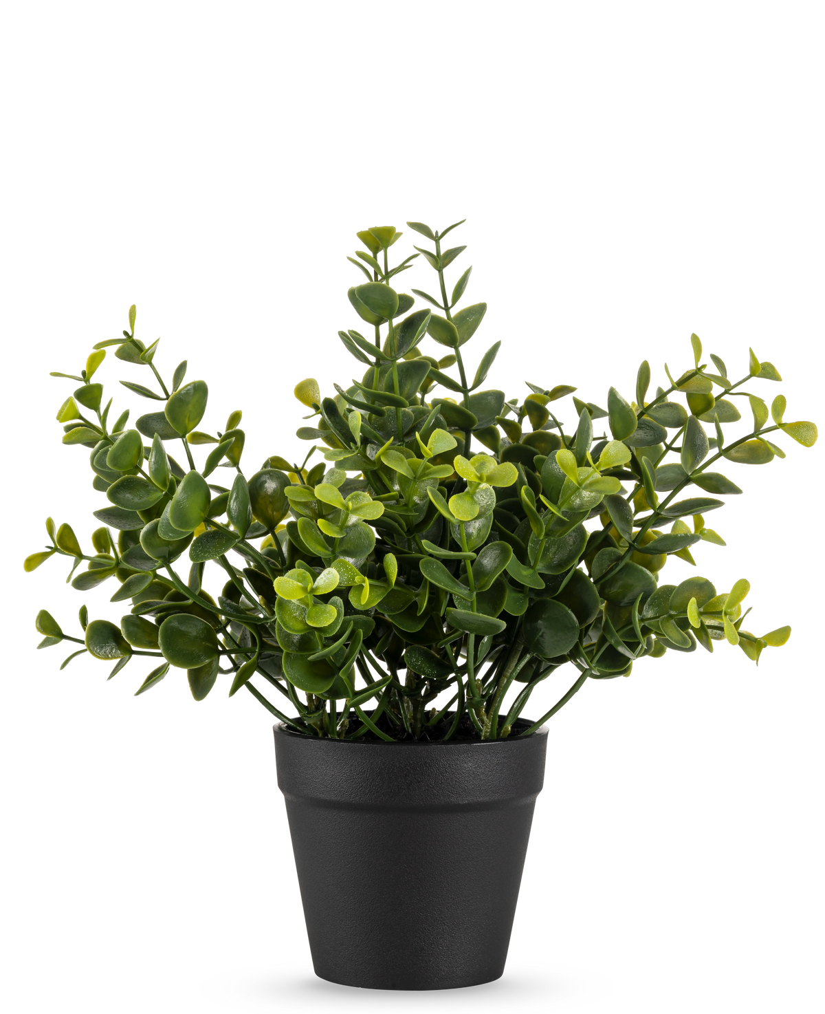 La Planta Artificial Pumila 20 cm es una pequeña planta artificial en maceta con hojas verdes redondas en una sencilla maceta negra, expuesta sobre un fondo blanco liso.