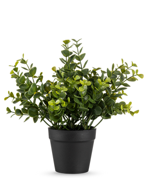 La Planta Artificial Pumila 20 cm es una pequeña planta artificial en maceta con hojas verdes redondas en una sencilla maceta negra, expuesta sobre un fondo blanco liso.