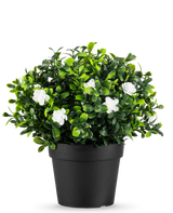 La Planta Artificial Pumila en maceta UV 21cm es una pequeña planta artificial con densas hojas verdes y delicadas flores blancas, en una sencilla maceta negra sobre un fondo liso blanco.