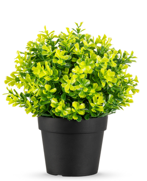 La planta de Romero Artificial UV de 22 cm tiene hojas de color verde brillante y amarillo en una maceta de plástico negra lisa, sobre un fondo blanco.