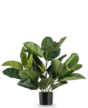 La planta de caucho artificial de 51 cm tiene hojas anchas y exuberantes de color verde intenso en una sencilla maceta negra, sobre un fondo blanco liso.