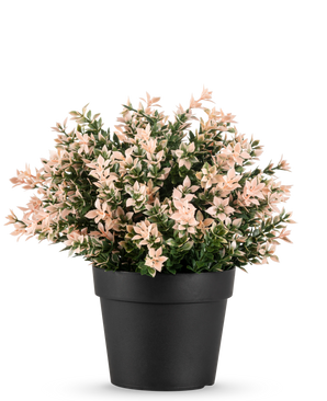 El boj artificial rosa UV 22 cm tiene pequeñas hojas densas de color rosa claro y verde en una maceta negra lisa, sobre un fondo blanco.