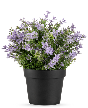 La Planta Artificial Buxus violeta UV 22 cm tiene una maceta negra con una exuberante planta artificial con pequeñas flores de color violeta claro y hojas verdes sobre un fondo blanco liso.