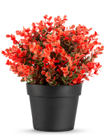 La Planta Artificial Buxus roja en maceta UV 19 cm es una maceta compacta de color negro con una exuberante mezcla de hojas artificiales rojas y verdes sobre un fondo blanco liso.
