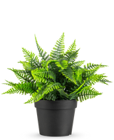 La planta artificial Helecho en maceta UV 23 cm tiene un helecho verde realista con hojas plumosas en una sencilla maceta negra, sobre un fondo blanco.