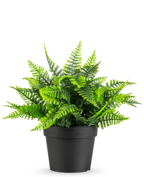 La planta artificial Helecho en maceta UV 23 cm tiene un helecho verde realista con hojas plumosas en una sencilla maceta negra, sobre un fondo blanco.