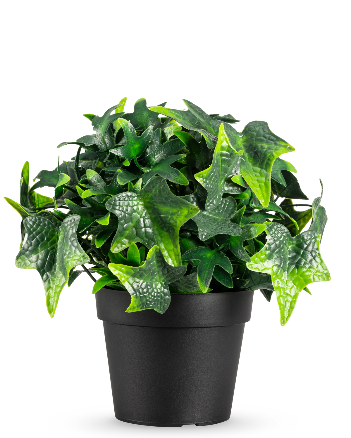 La planta artificial Hiedra en maceta UV 20 cm tiene hojas de hiedra artificiales verdes en forma de estrella en una sencilla maceta negra, que se muestra sobre un fondo blanco.