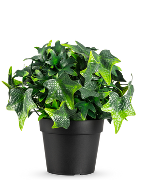 La planta artificial Hiedra en maceta UV 20 cm tiene hojas de hiedra artificiales verdes en forma de estrella en una sencilla maceta negra, que se muestra sobre un fondo blanco.