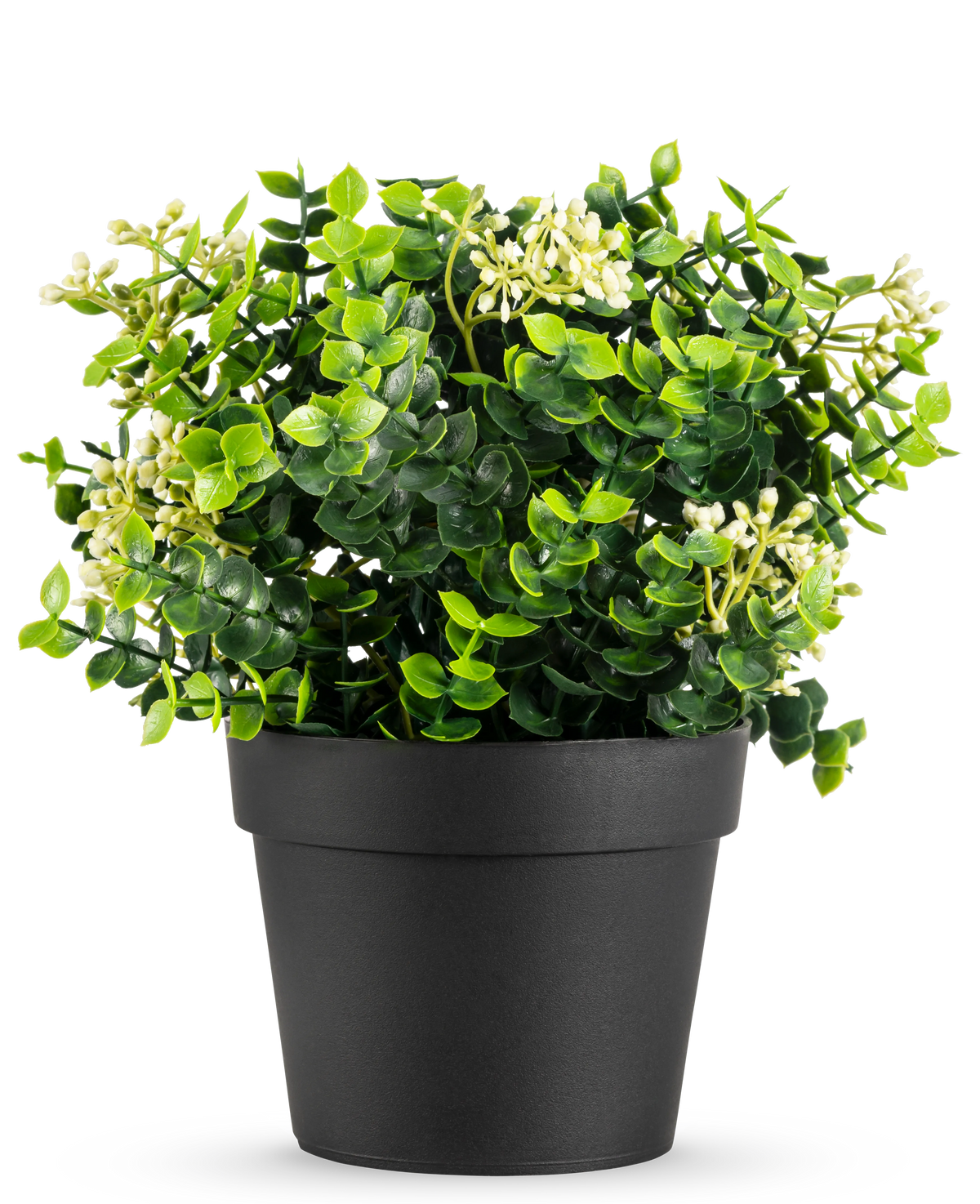 La Planta Artificial Mezcla de Eucalipto UV 22 cm tiene hojas de color verde brillante y pequeñas flores blancas en una sencilla maceta negra, sobre un fondo blanco.