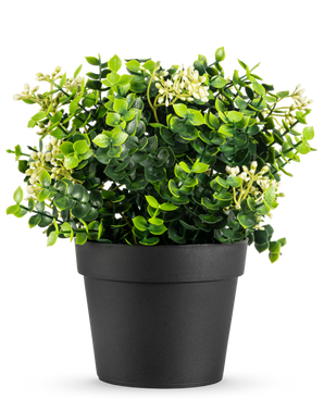 La Planta Artificial Mezcla de Eucalipto UV 22 cm tiene hojas de color verde brillante y pequeñas flores blancas en una sencilla maceta negra, sobre un fondo blanco.