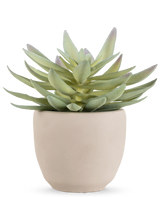 La planta suculenta artificial de 18 cm tiene hojas verdes gruesas y puntiagudas en una sencilla maceta redonda de cerámica blanquecina, sobre un fondo blanco.